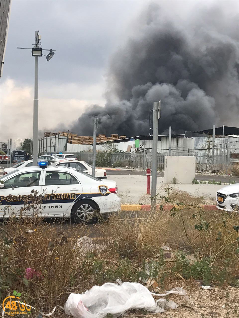 firbus eastyaffa (7).jpg